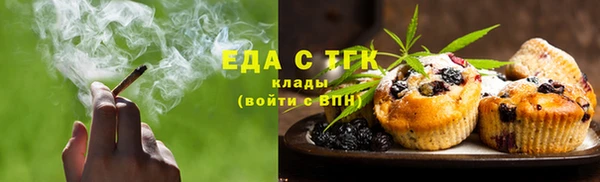 дживик Бородино
