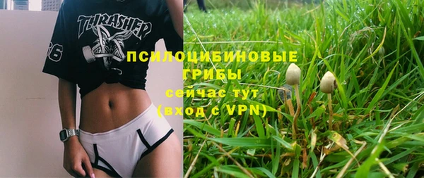 МДМА Богородицк