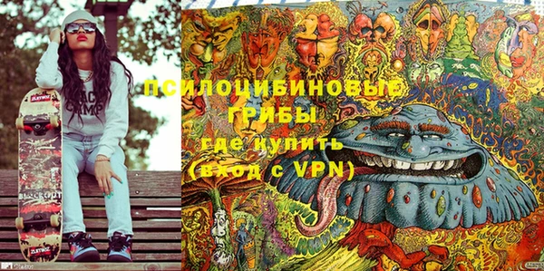 дживик Бородино