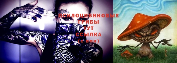 дживик Бородино
