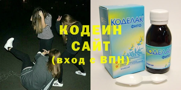 дживик Бородино