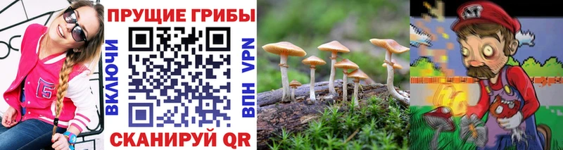 Псилоцибиновые грибы ЛСД  цены наркотик  Медынь 